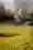 A749532 18