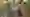 DJI 20251105111407 0132 D