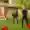 Two people are practising qigong exercises in a blossoming garden.