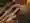 Cuban cigars closeup wooden desk blur glass brandy