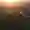 Luftaufnahme bei Sonnenuntergang mit Schloss Staufenberg im Fokus und der umliegenden Umgebung mit Weinreben